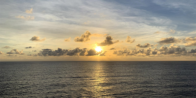 2020 - New Beginnings