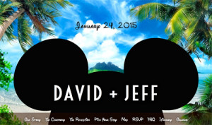 David & Jeff Wedding Site