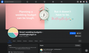 WeddingBudget.io Branding